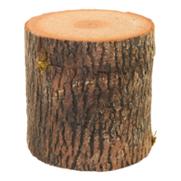 Trunk,