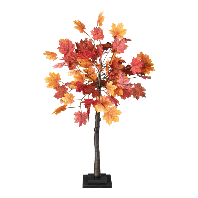 Maple tree,