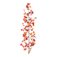 Maple leaf garland,