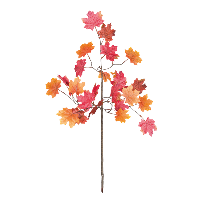 Maple leaf twig,