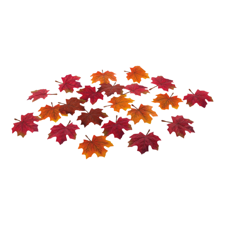 Maple leaves,