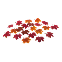 Maple leaves,