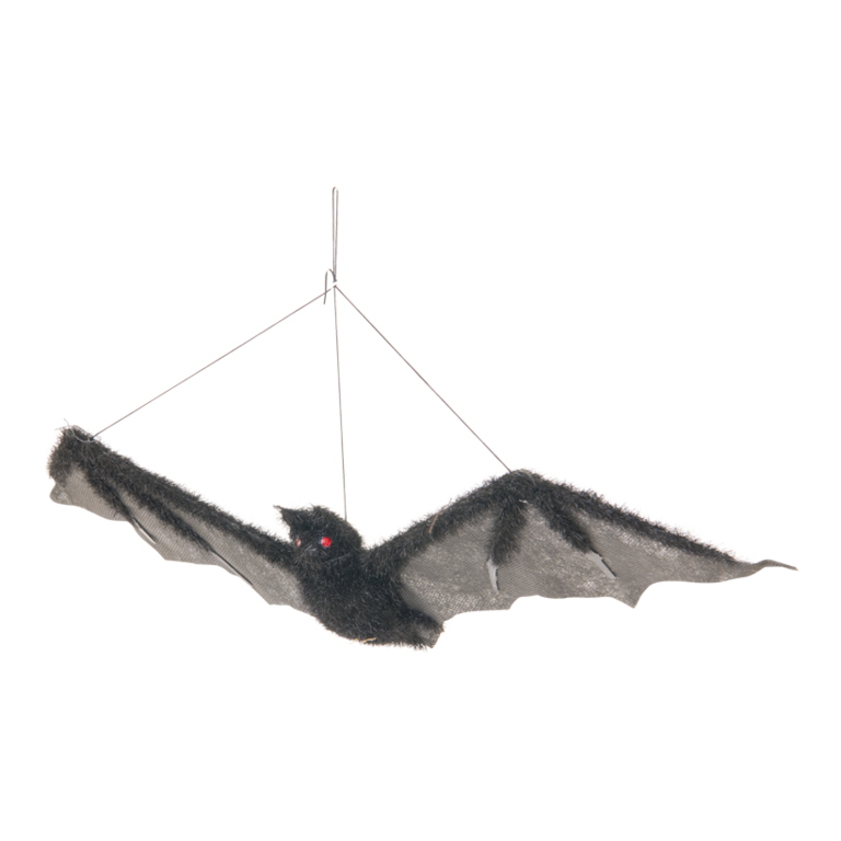 Bat,