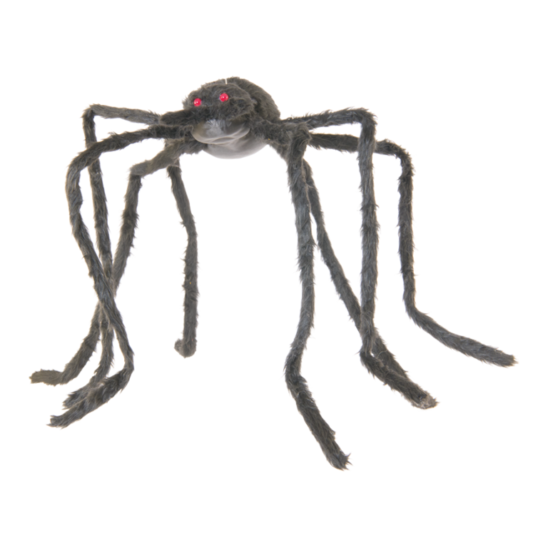 Spider,