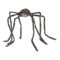 Spider,