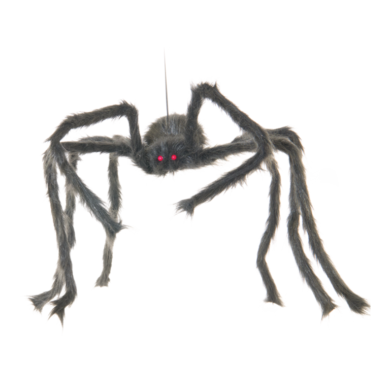 Spider,