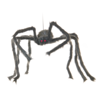 Spider,