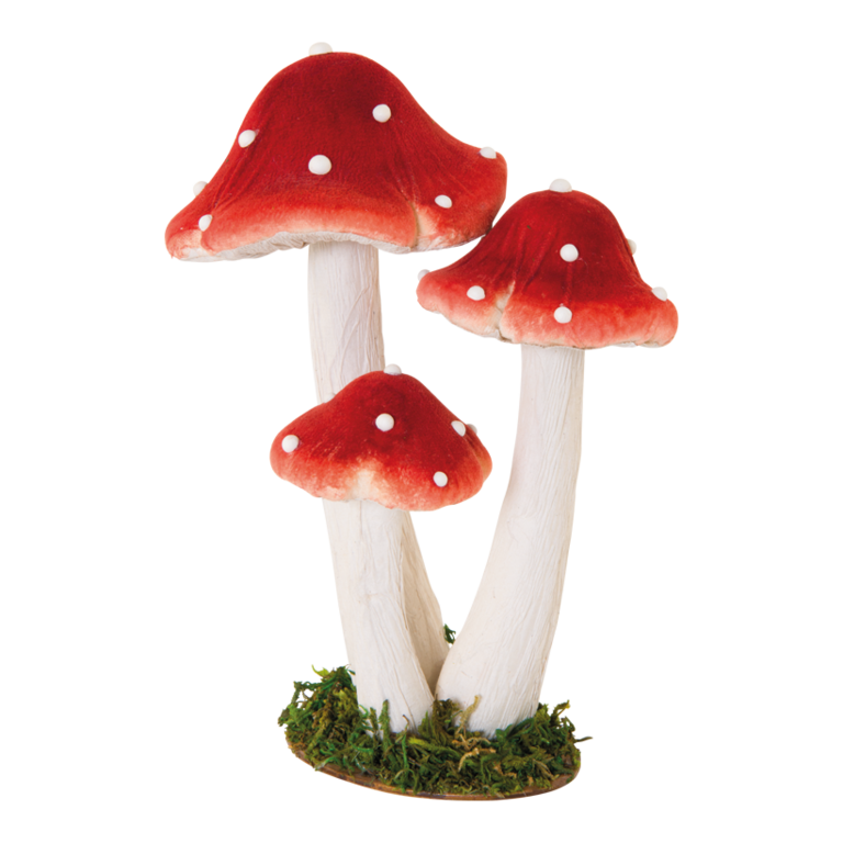 Group of fly agaric