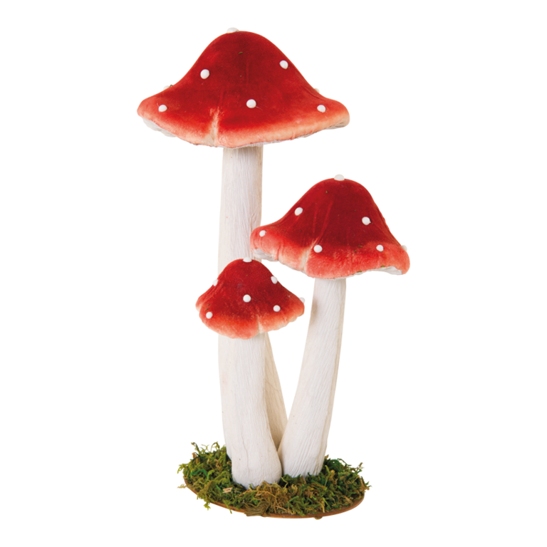 Group of fly agaric