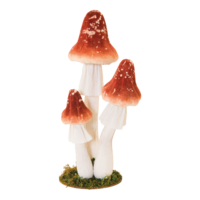Group of forest mushrooms,