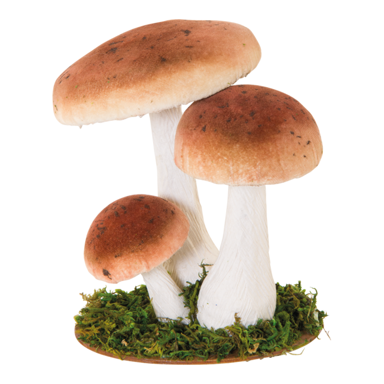 Group of birch mushrooms,