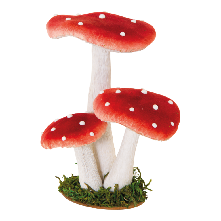 Group of fly agaric,