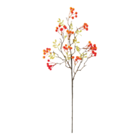 Berry twig,