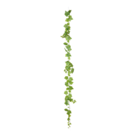 Grape leaf garland,