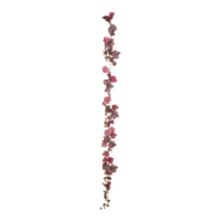 Grape leaf garland,