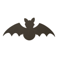 # Bat,