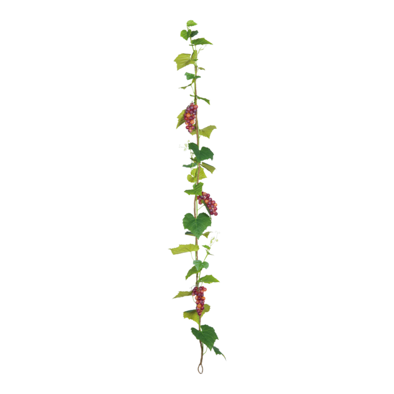 Grape garland,