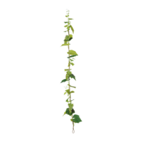 Grape garland,