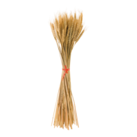 Wheat bundle,