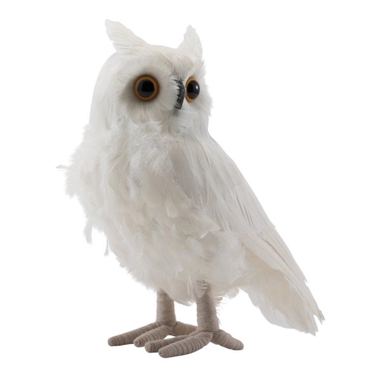 Owl,