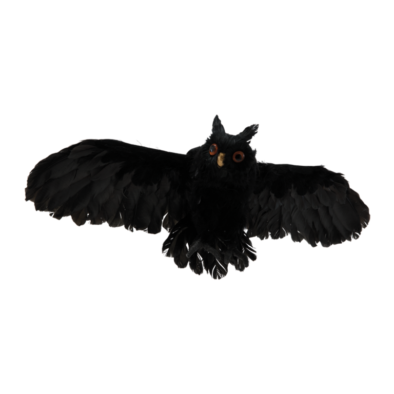 Owl,