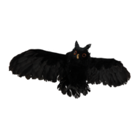 Owl,