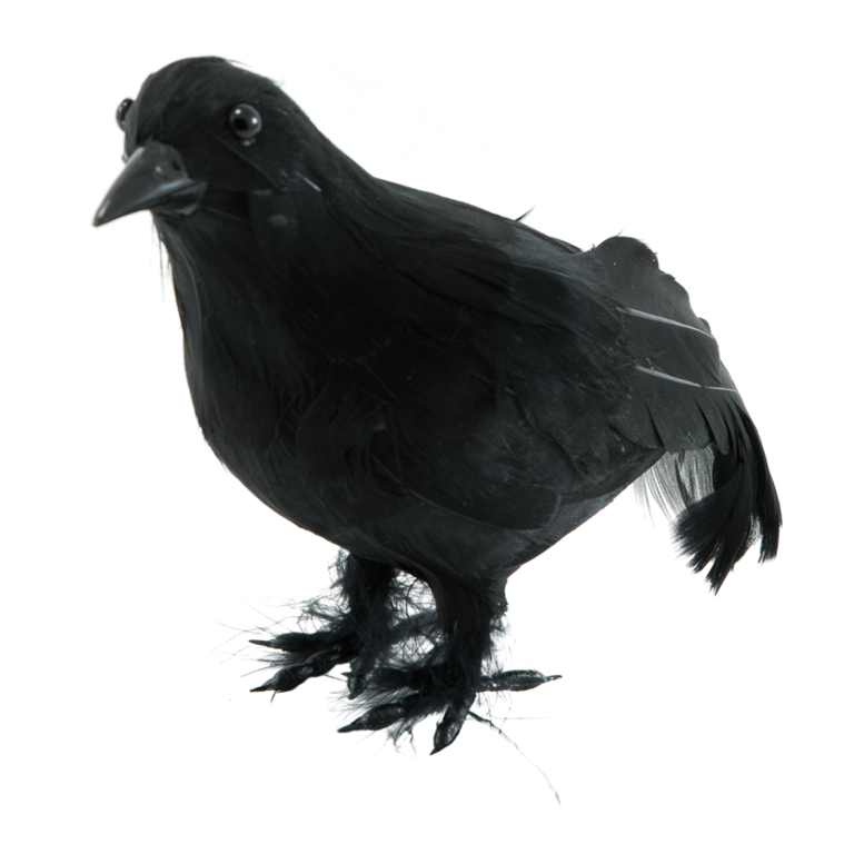 Crow