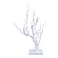 Coral tree,