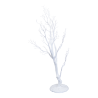 Coral tree,