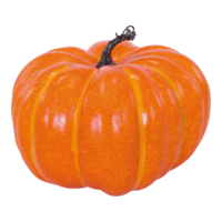 Pumpkin,