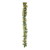 Noble fir garland,