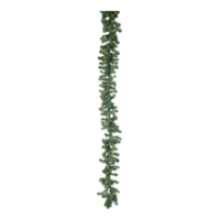 Noble fir garland,