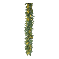 Noble fir garland,