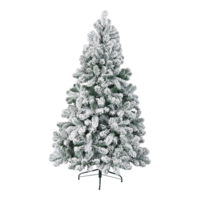 Noble fir,