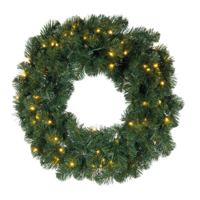 Noble fir wreath,