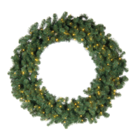 Noble fir wreath,