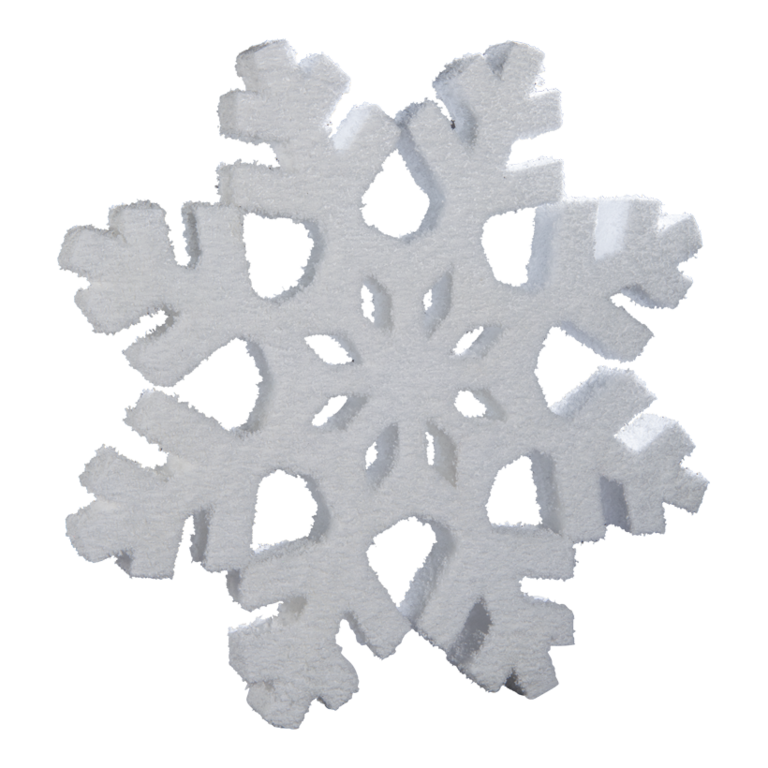 Snow flake,