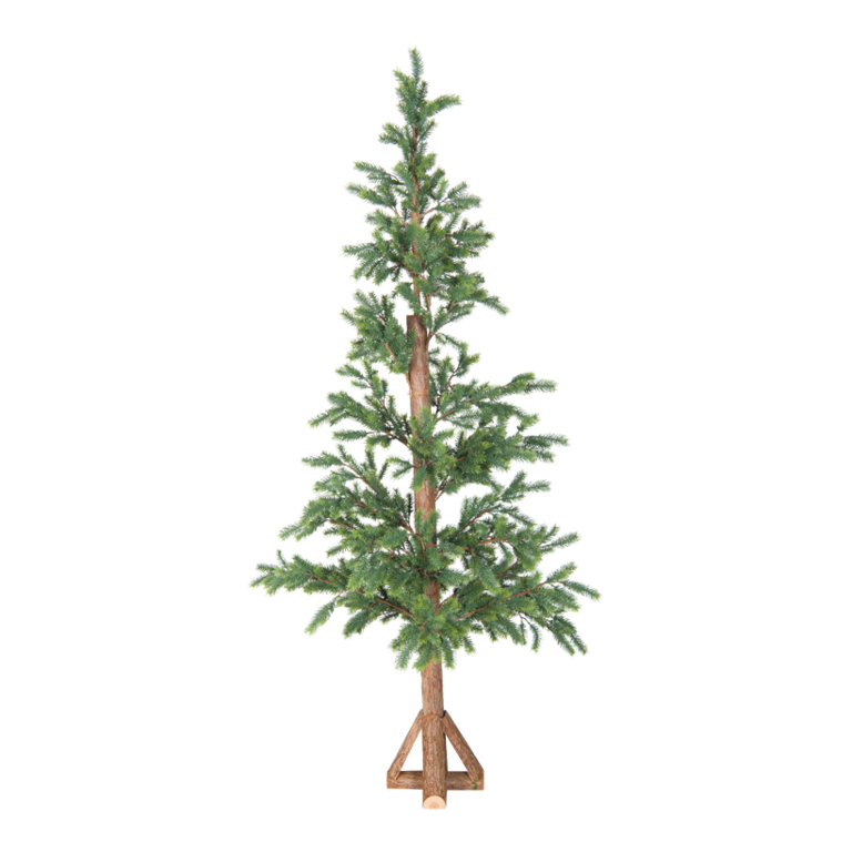Fir tree,