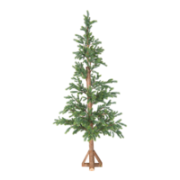 Fir tree,
