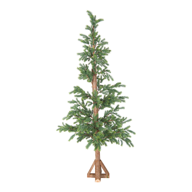 Fir tree,