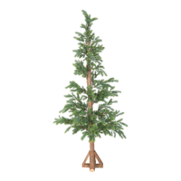 Fir tree,