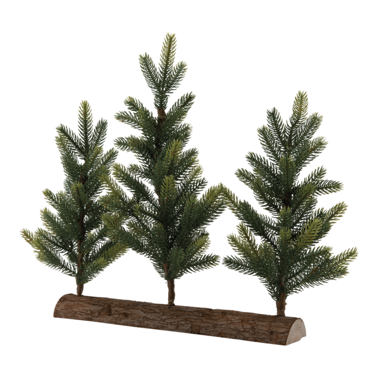 Noble fir,