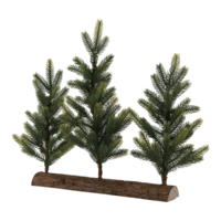 Noble fir,