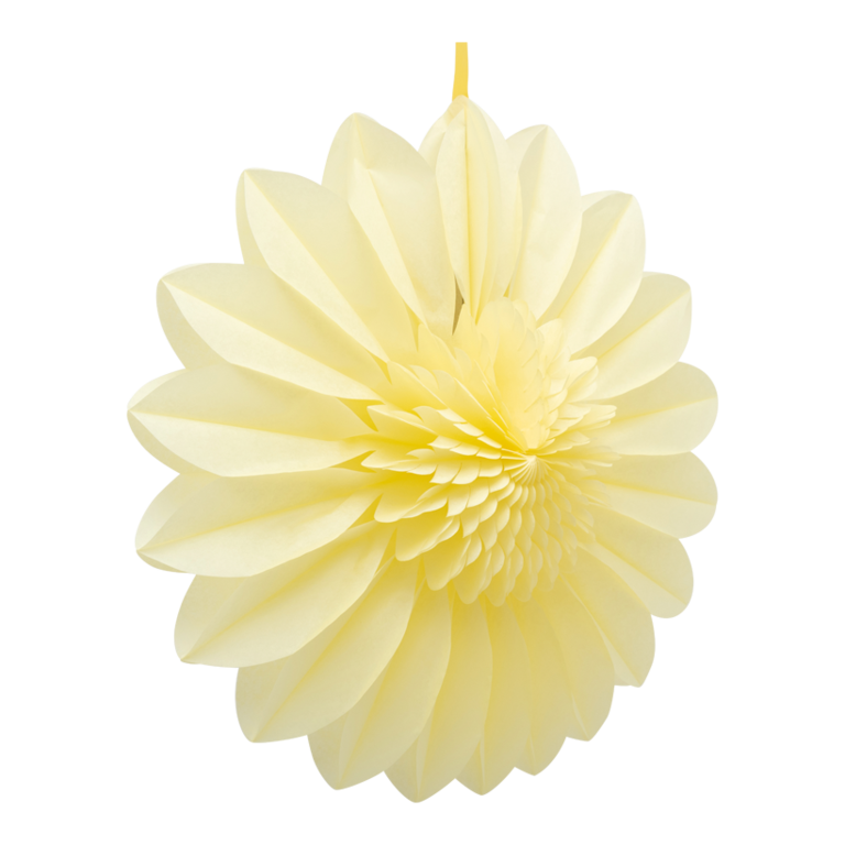 Flower rosette,