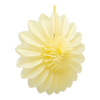 Flower rosette,