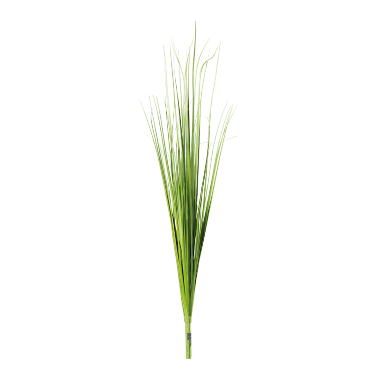Grass bush,