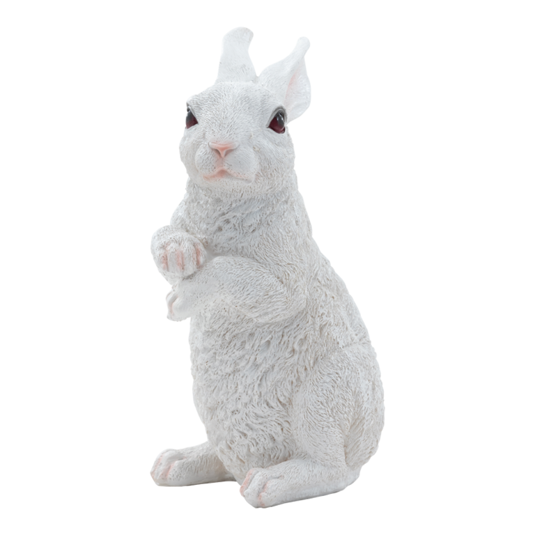Rabbit,