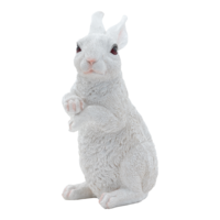 Rabbit,