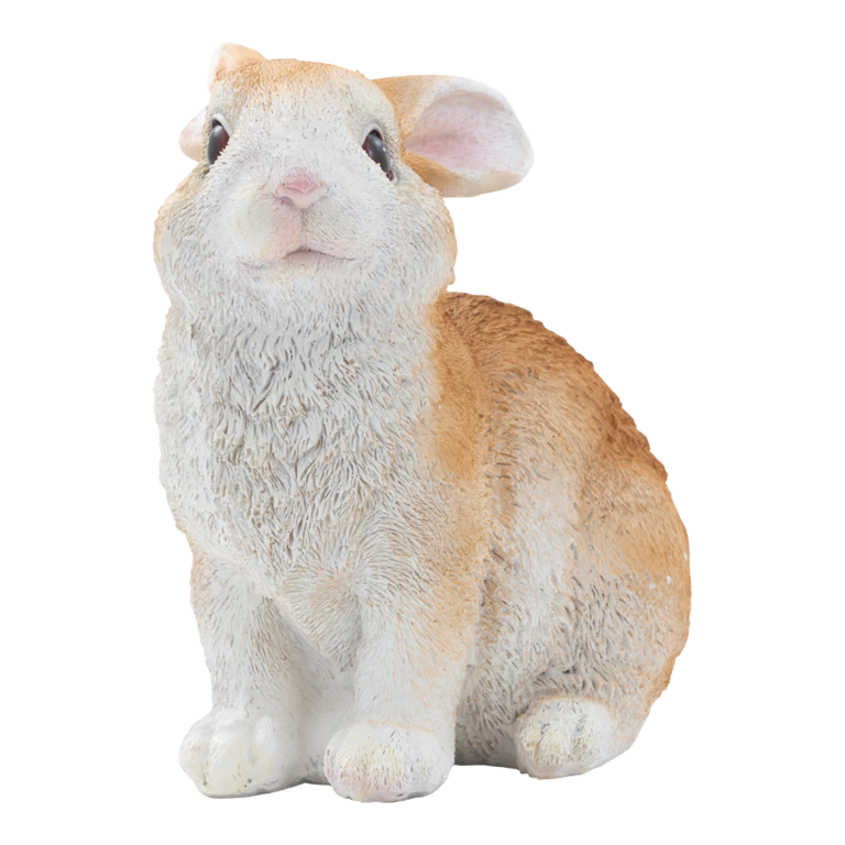Rabbit,
