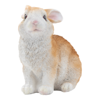 Rabbit,